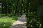 Park Glazja w Toruniu. To tutaj doszło ataku na 24-letnią kobietę