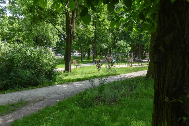  To on zaatakował kobietę w Parku Glazja